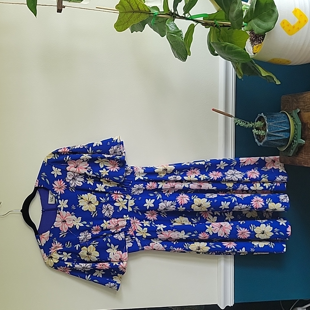 Like new Summer Floral lined dress